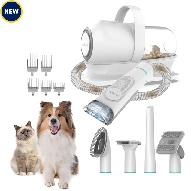 petco grooming services for cats