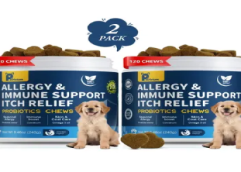 best petsmart dog food