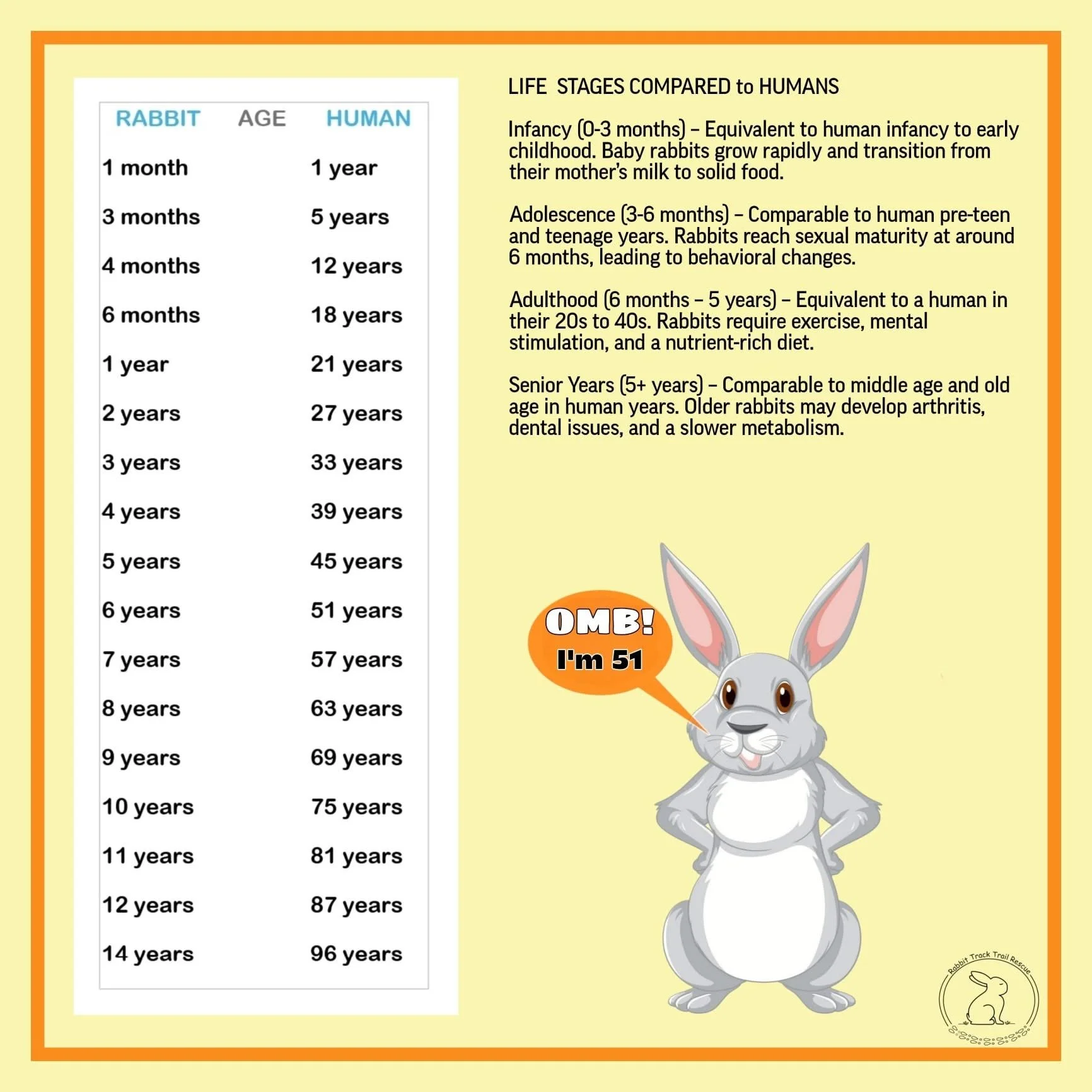 how old do rabbits have to be to sell
