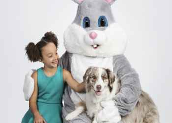pet smart bunny