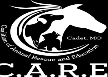 foster and adoptive care coalition