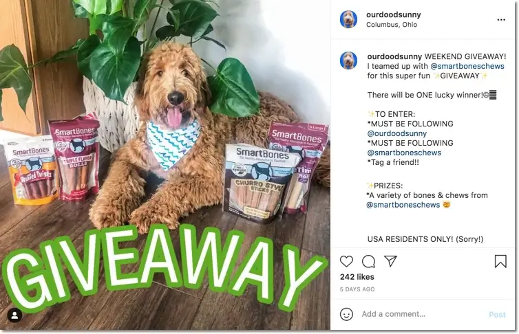 giveaway dogs