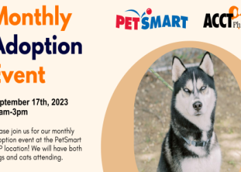 petsmart with dogs near me