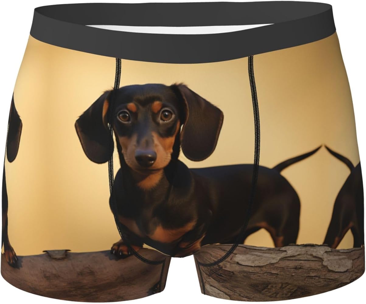 dachshund boxers