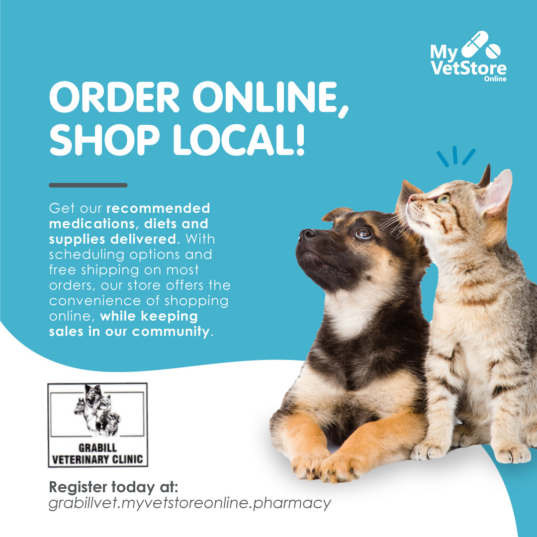 order animals online
