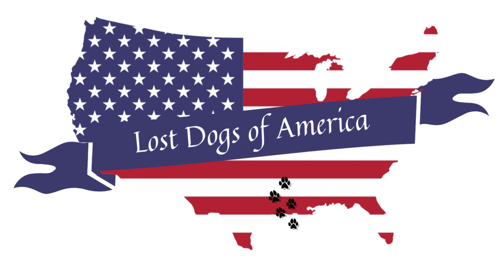 lost dogs of america