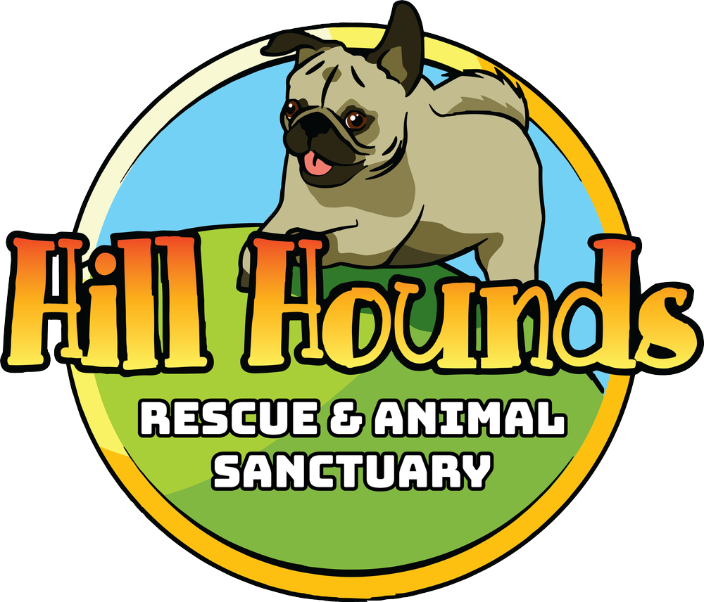 hounds rescue