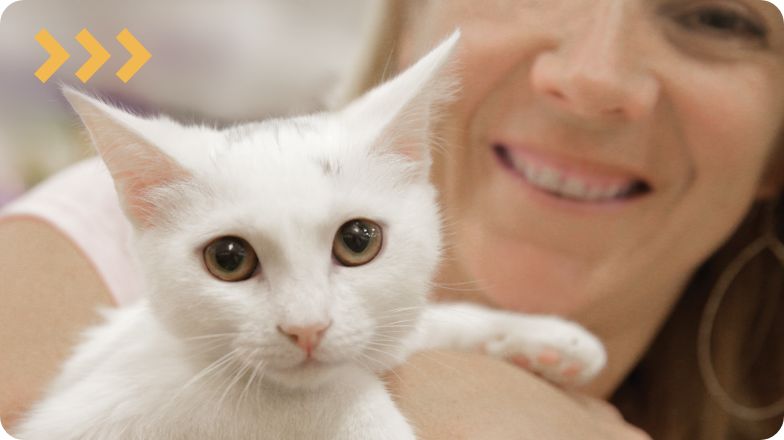 will petsmart take kittens