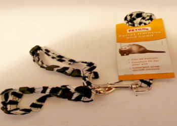 does petco have ferrets