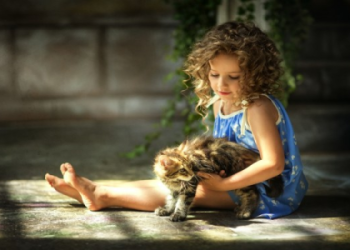 adult adoption washington