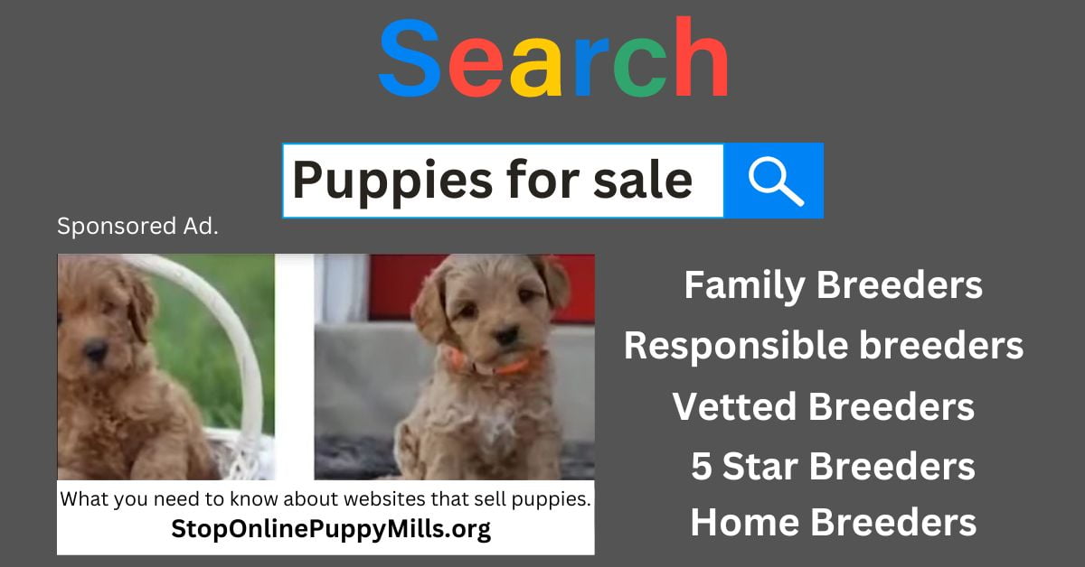 online puppy selling sites
