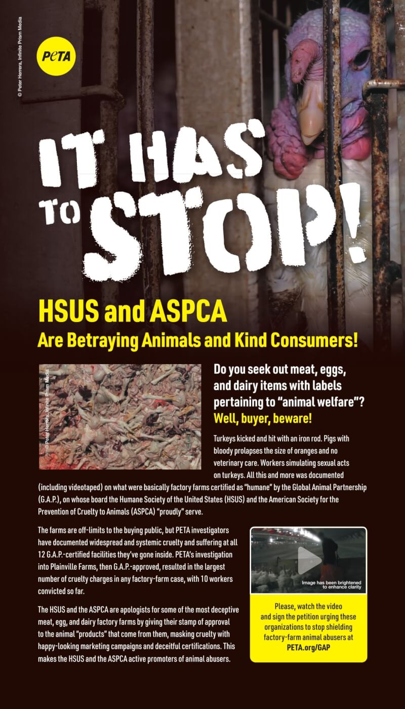 peta aspca