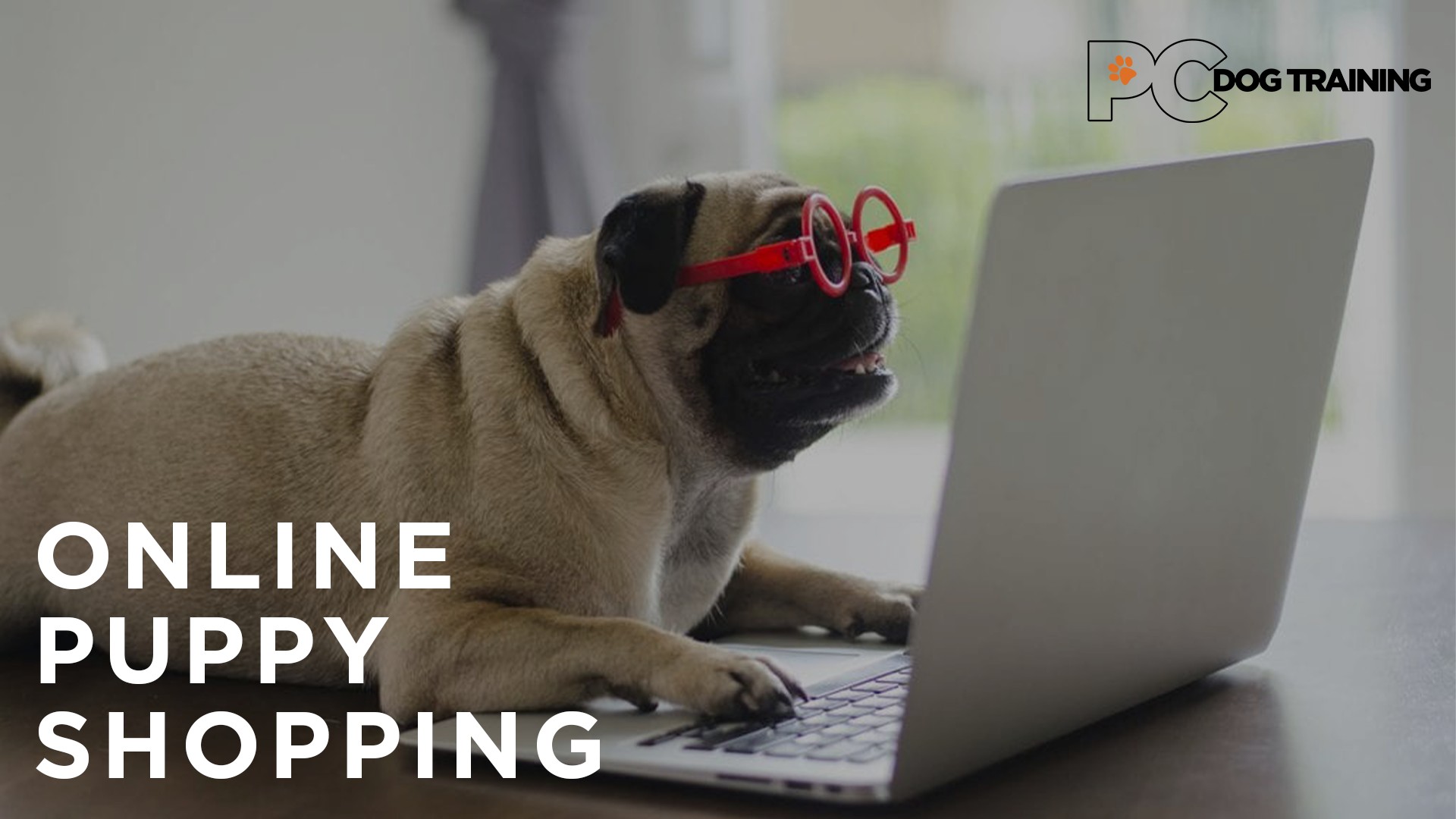 puppy online shopping