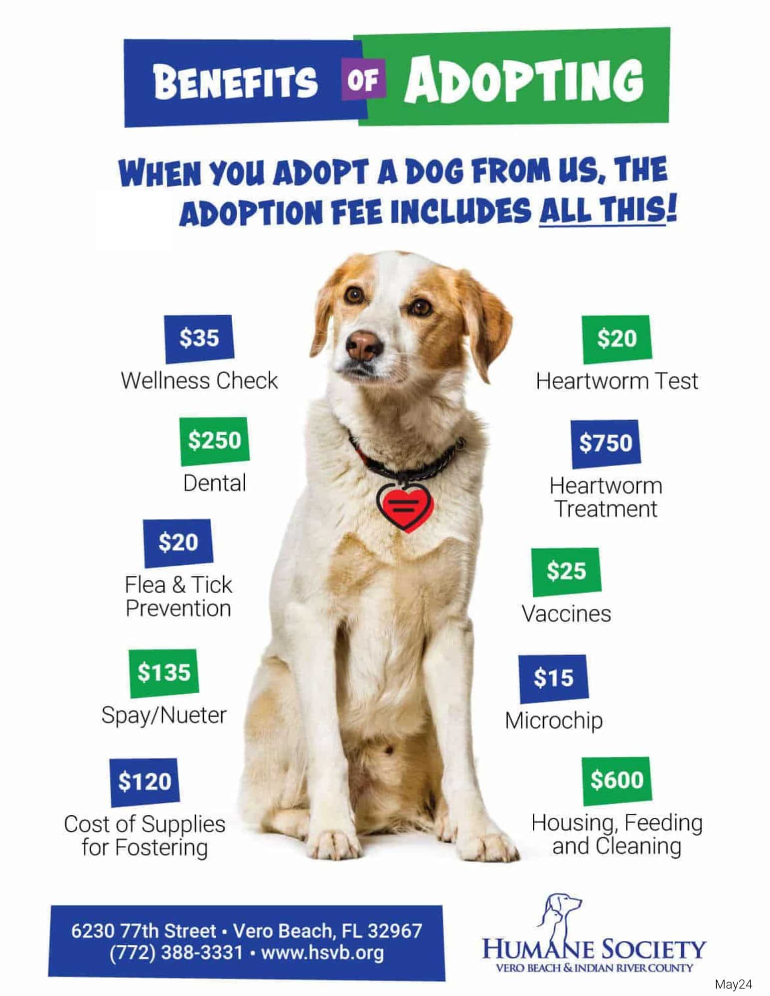 adopt a dog under $100