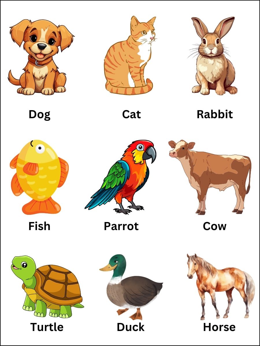animal pet list