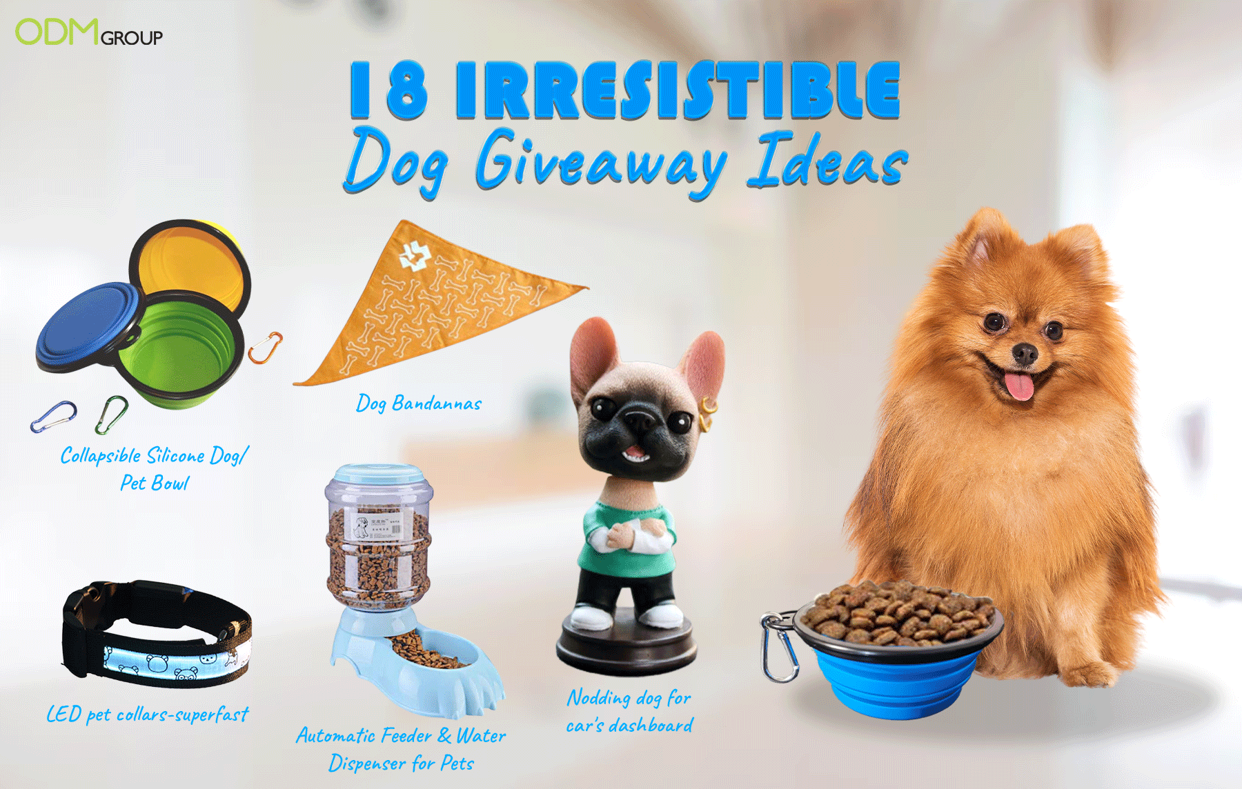 giveaway dogs