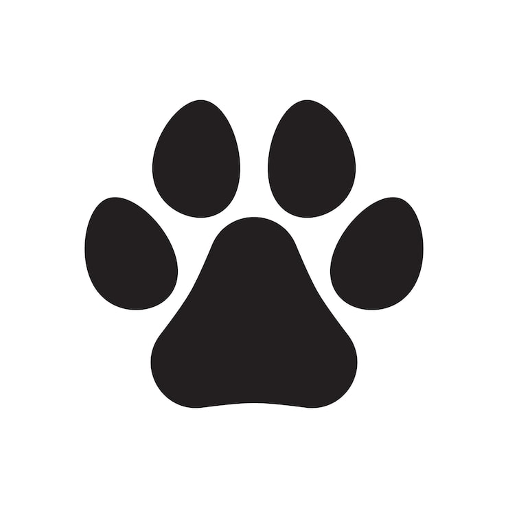 paw images