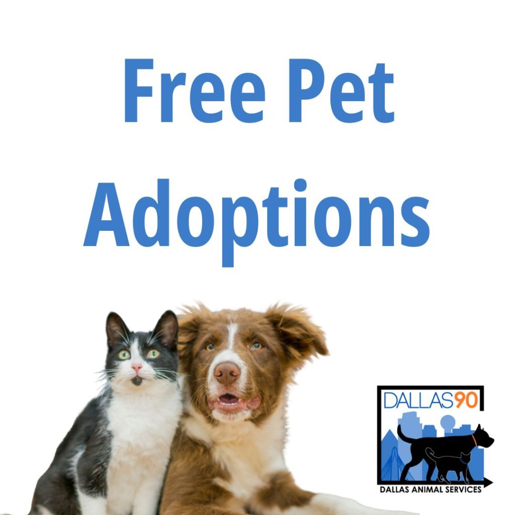 animal organizations near me