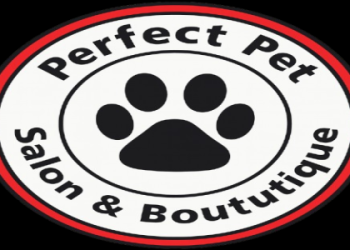 a picture perfect pet grooming