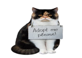 adopt me needs
