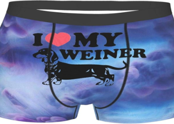 dachshund boxers