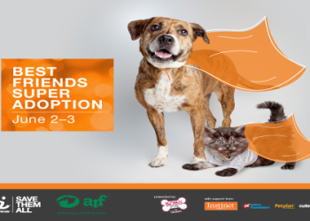 best friend adoption