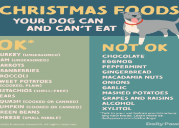 can puppies eat sausage