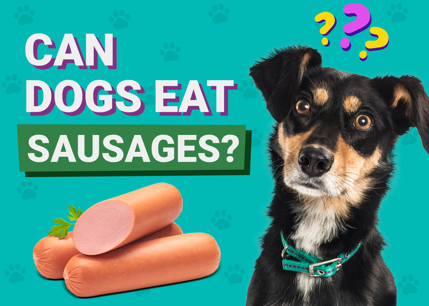 can puppies eat sausage