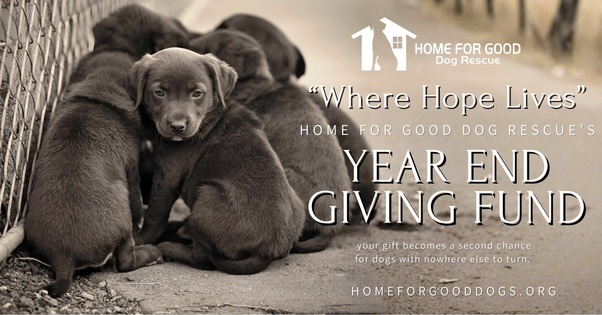 home for good dog rescue inc