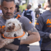 aspca new lots