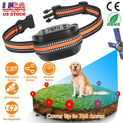 dog finder collar