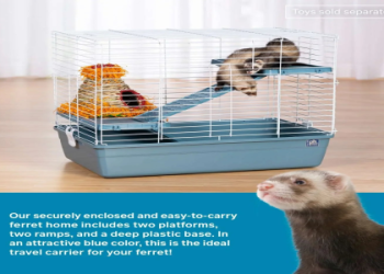 how much are ferrets at petsmart