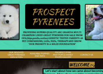great pyrenees breeders ohio