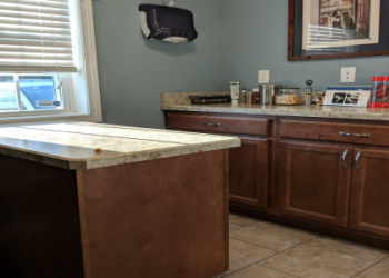 veterinarian meriden ct