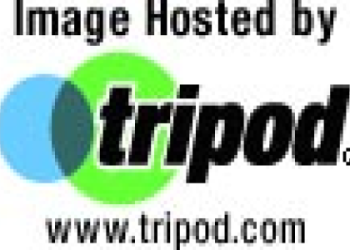 bichon frise breeders in texas