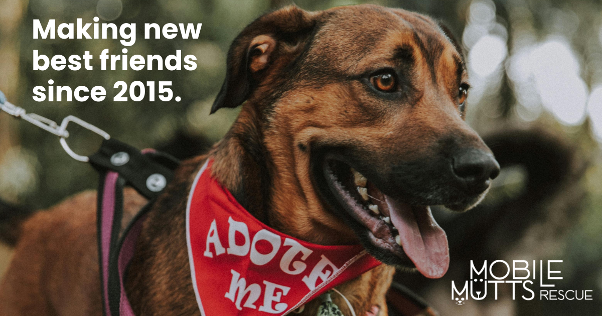 mobile mutts