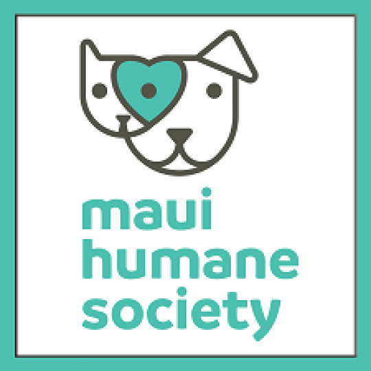 maui pet shelter
