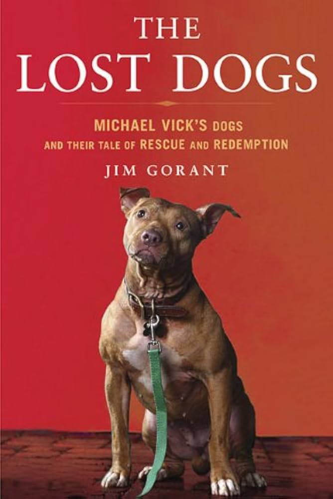 lost dogs of america