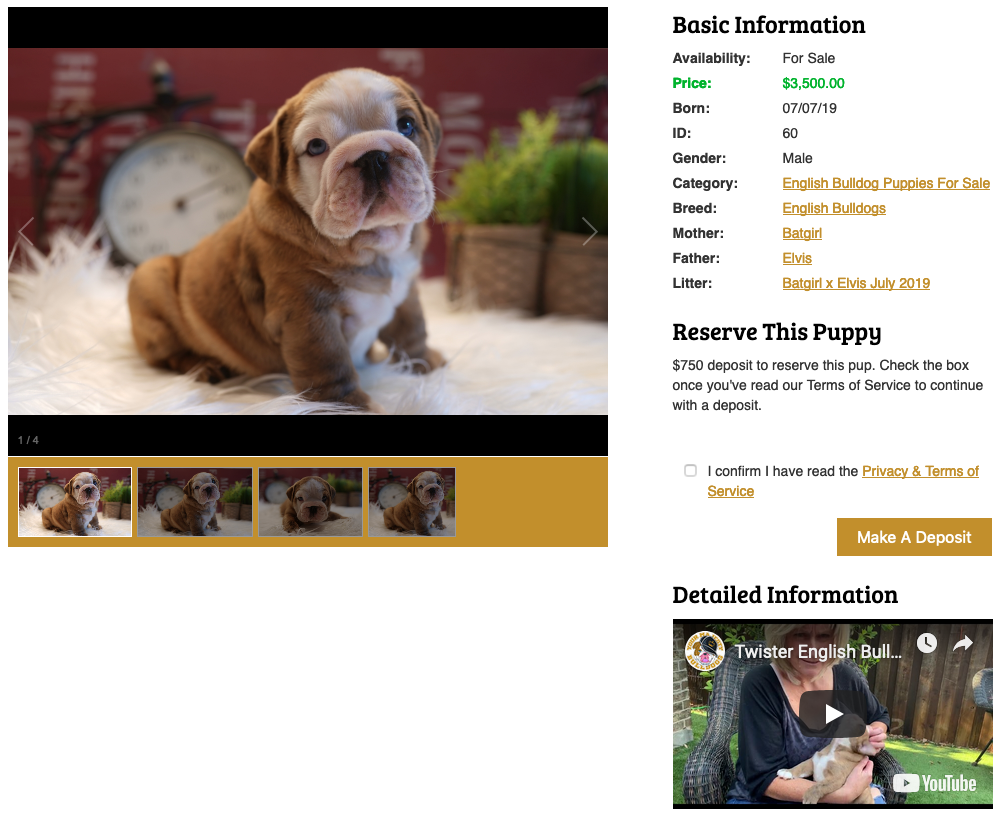 dog for sale website