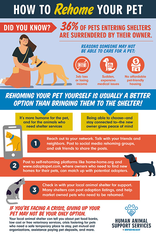 pet rehoming