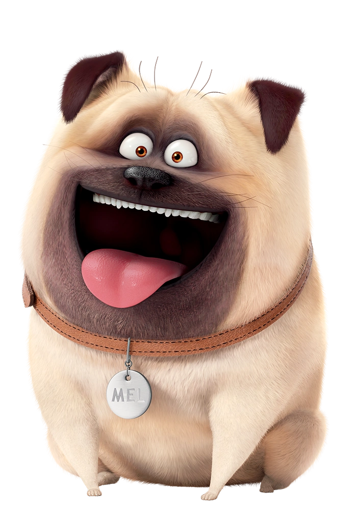 bulldog from secret life of pets