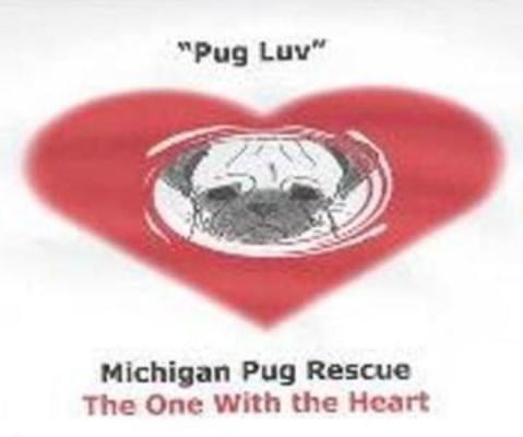 michigan pug rescue