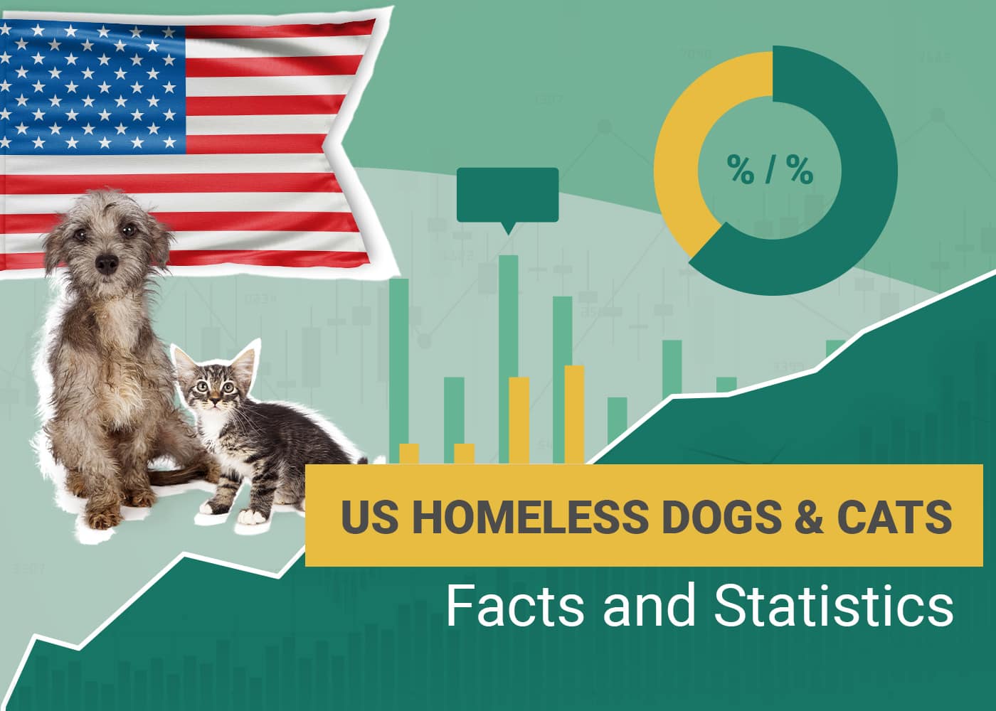 how many homeless dogs in the us