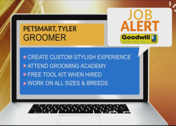 how much does a groomer at petsmart make