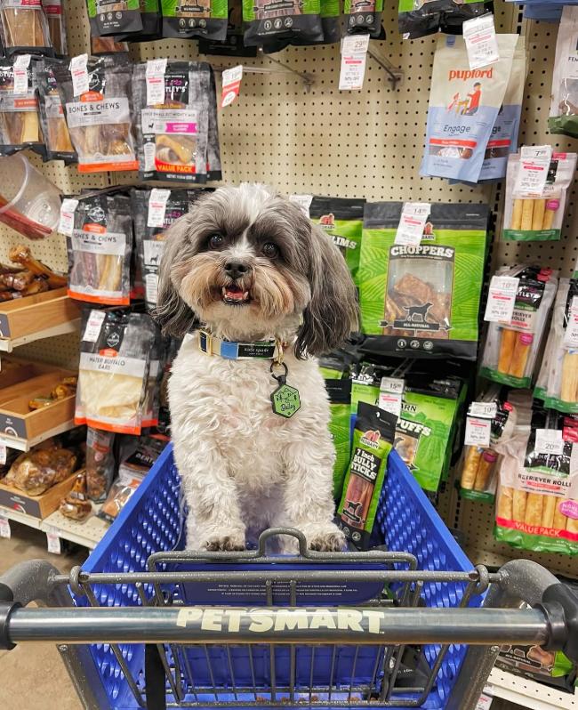 are pets allowed in petsmart