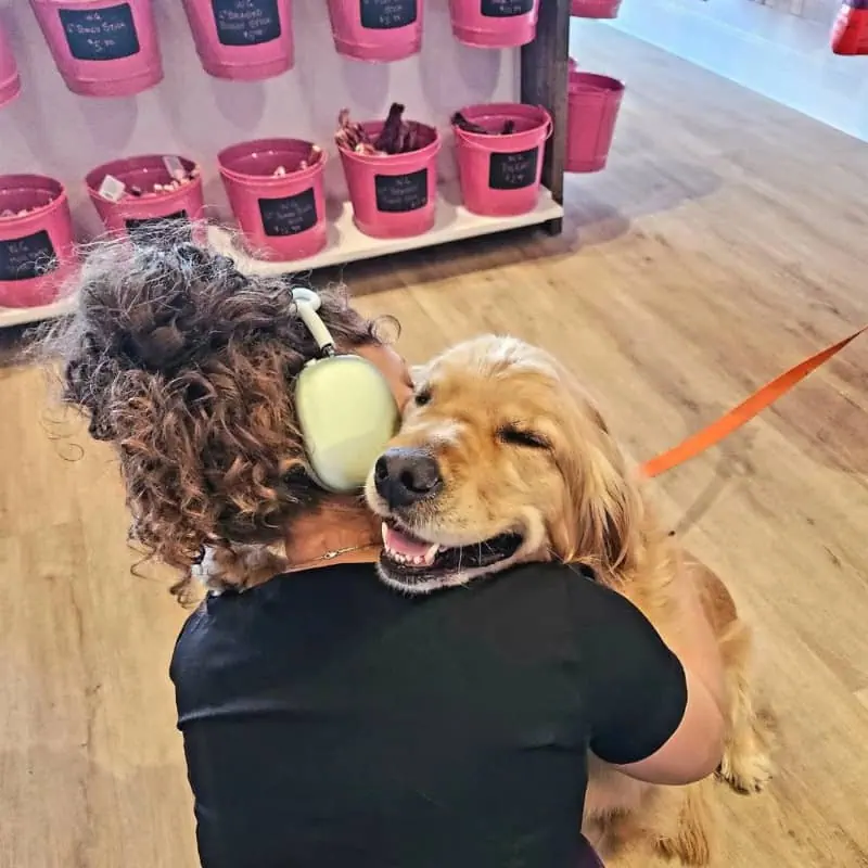 dog grooming chester nj