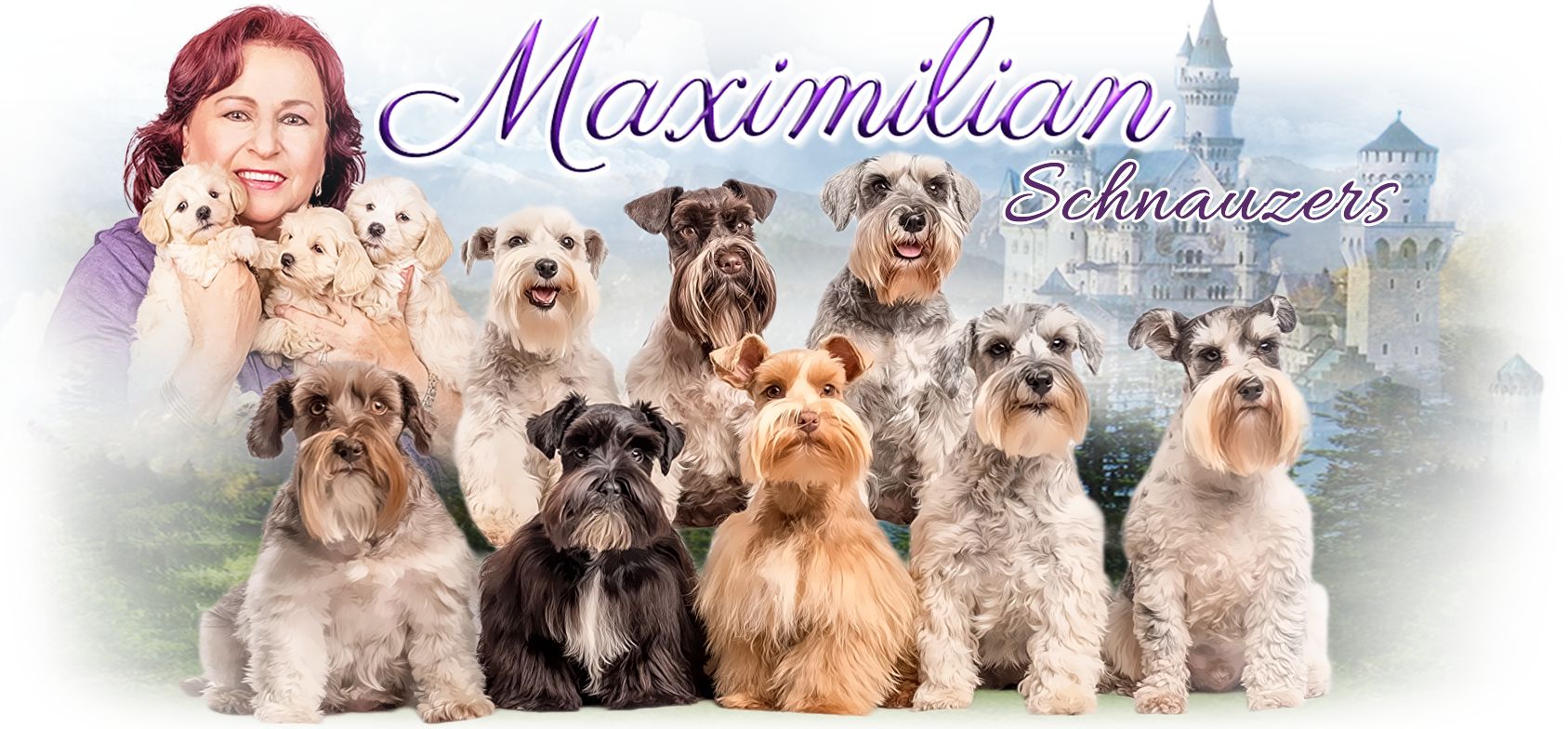 schnauzer breeders florida