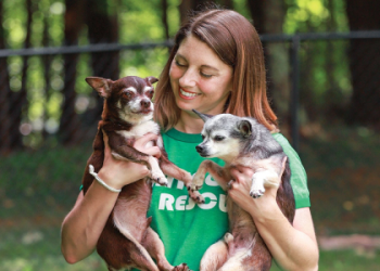 petfinder rhode island