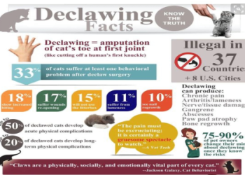 cats declawed near me