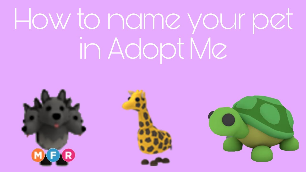 how to name your pet in adopt me